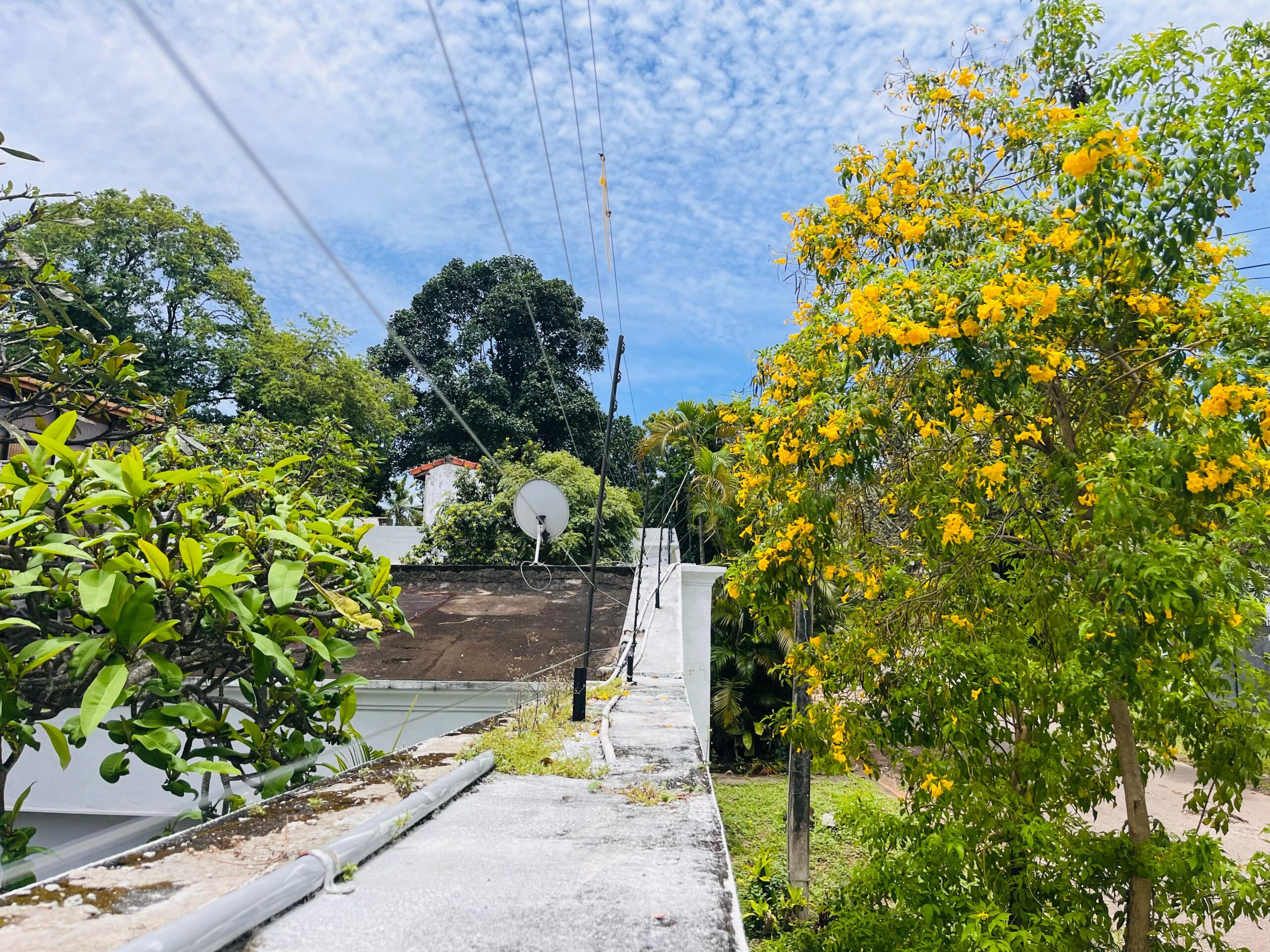 WhatsApp Image 2025-04-23 at 15.58.50_4a8db553