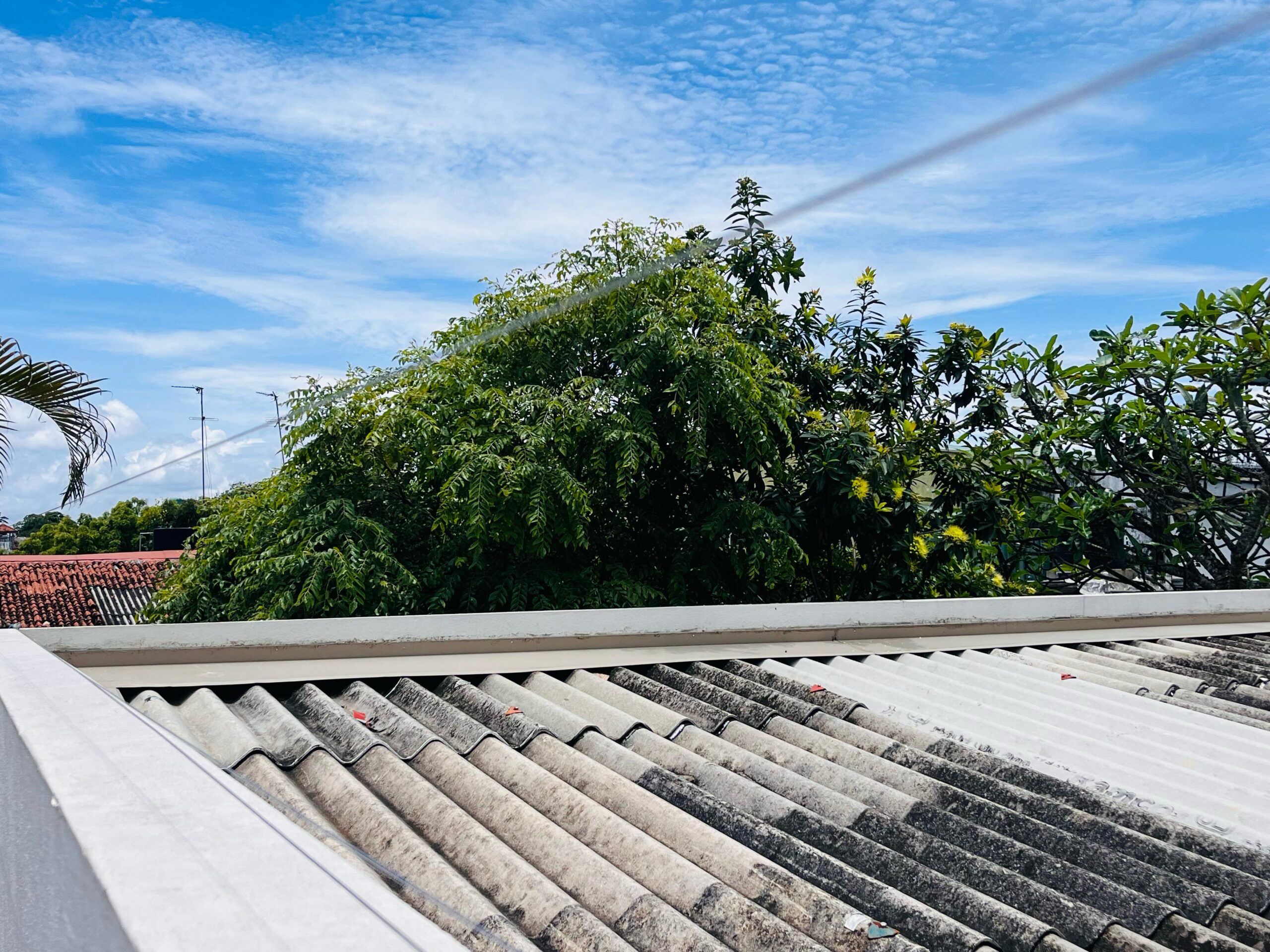 WhatsApp Image 2025-04-23 at 15.58.53_ea3be338