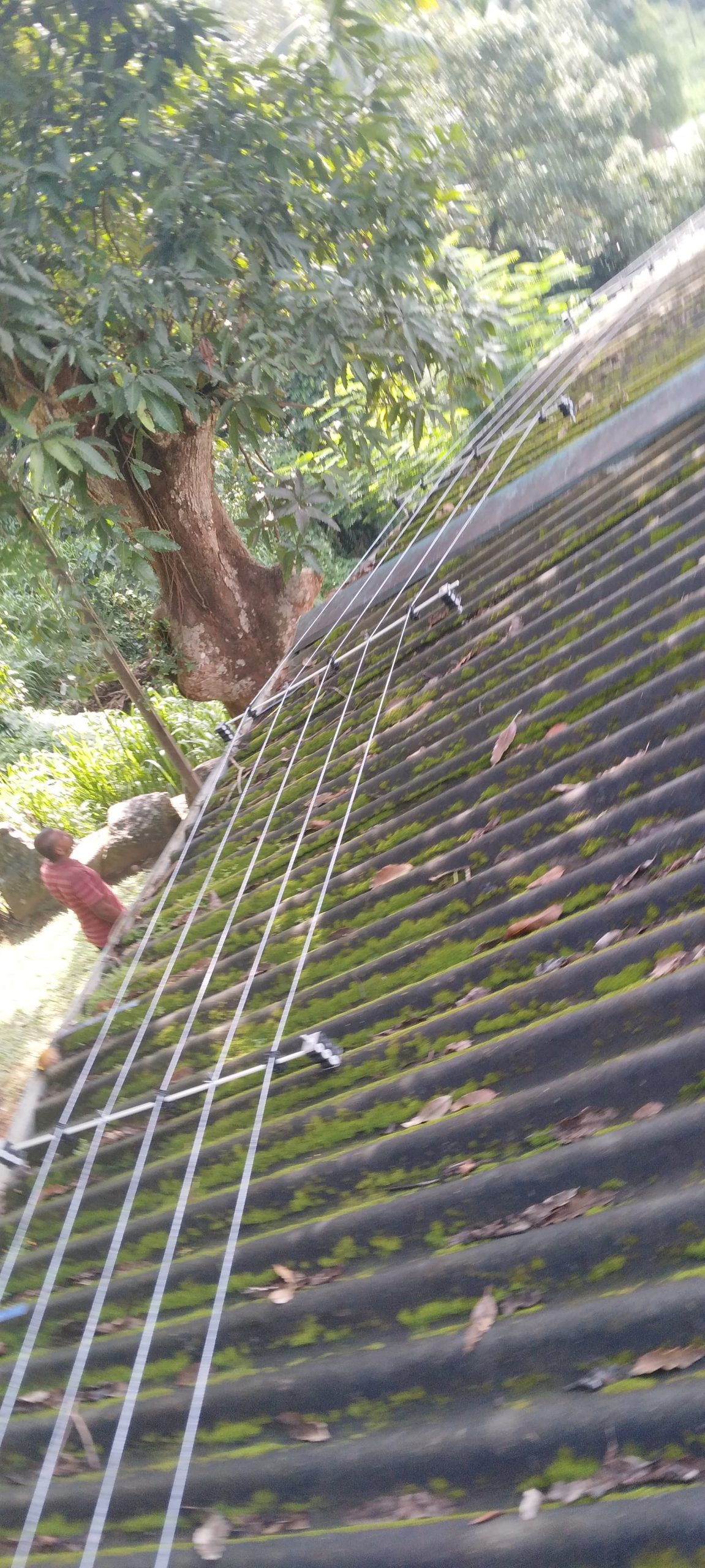 Security Fence 00001