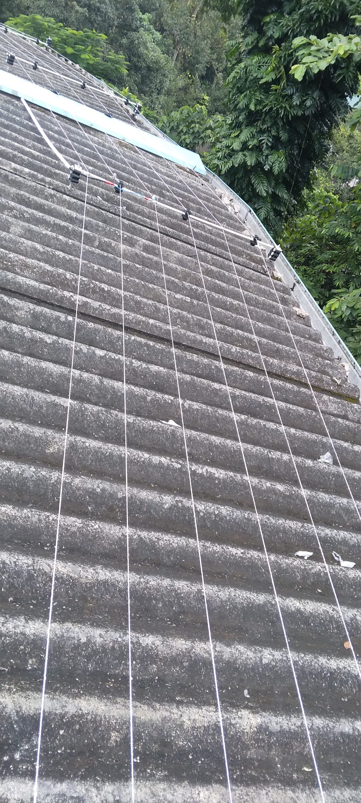 Security Fence 00004