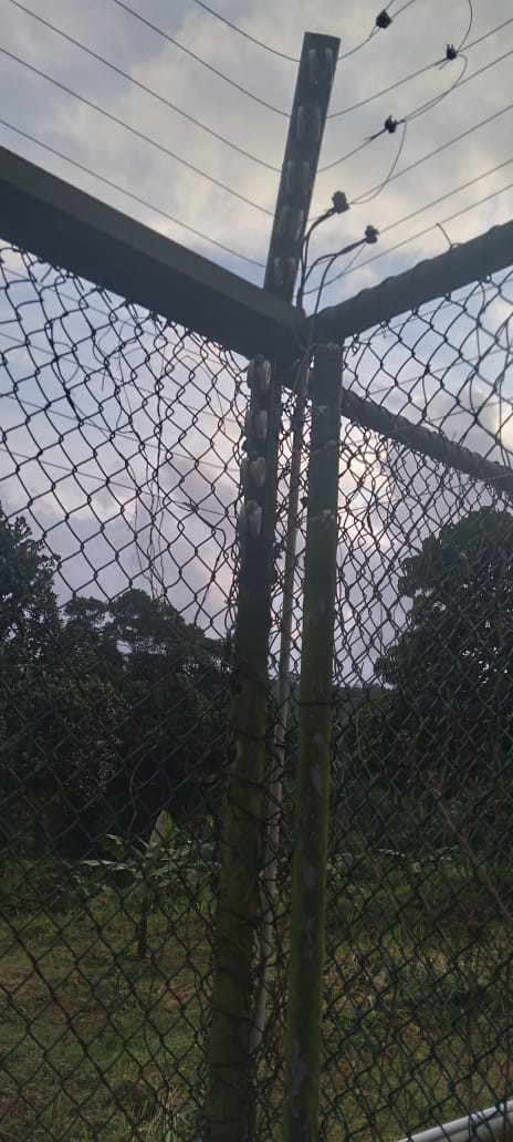 Security Fence 00013