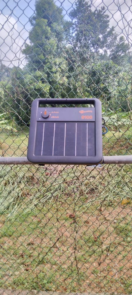 Security Fence 00014