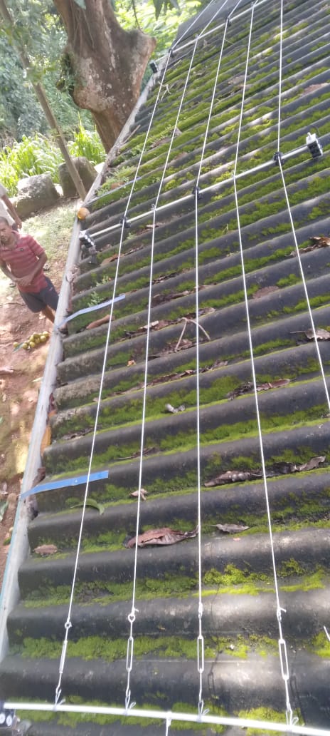 Security Fence 00022