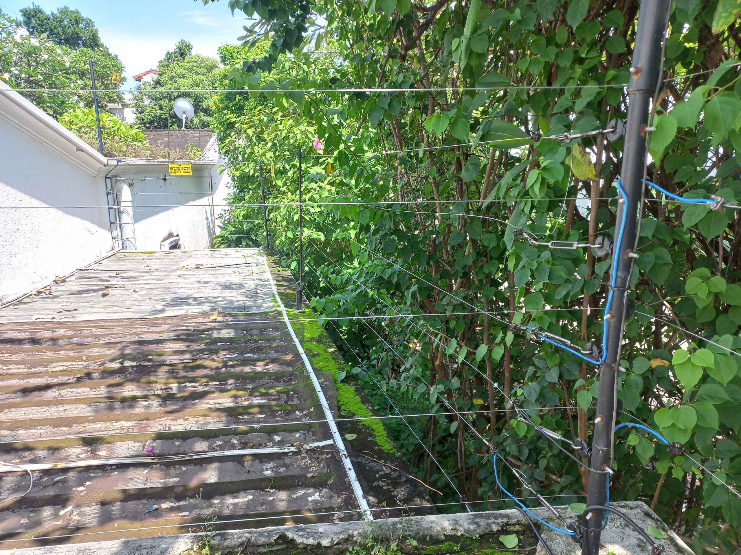 Dasun Perera00015-min