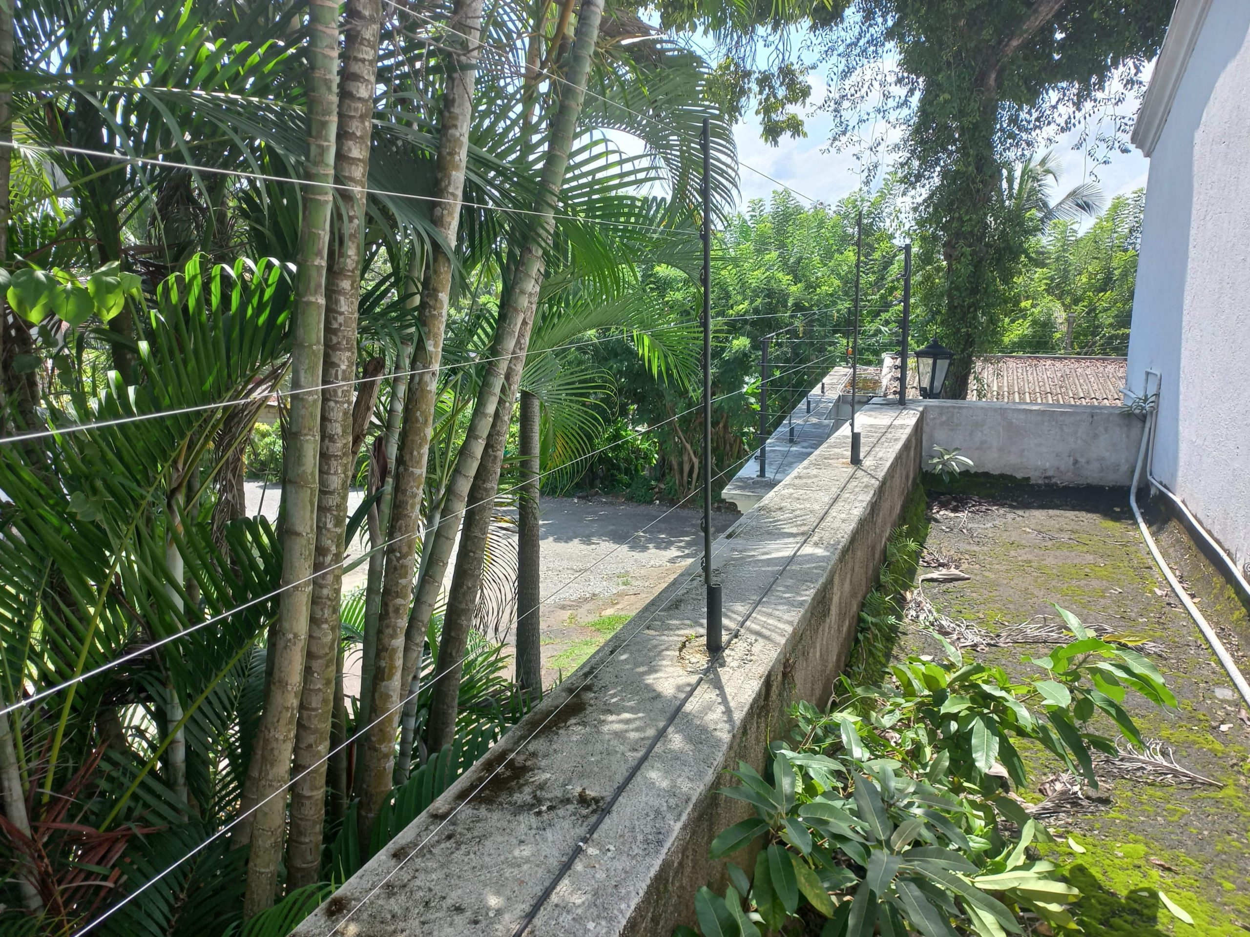 Dasun Perera00016-min