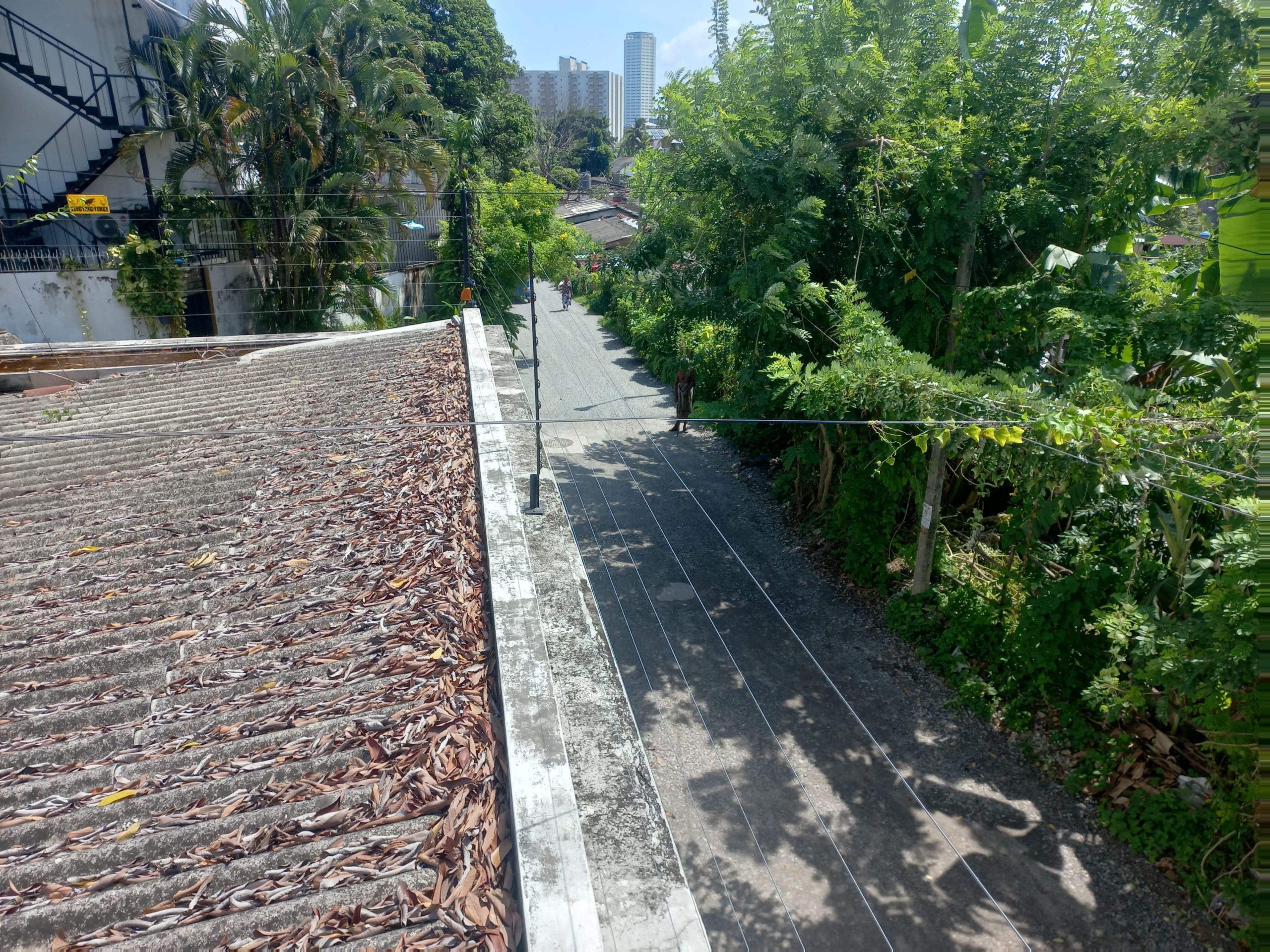 Dasun Perera00021-min