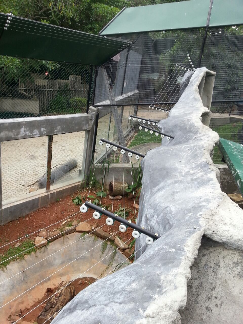 Pics Sent 4th of Aug ’25-00071