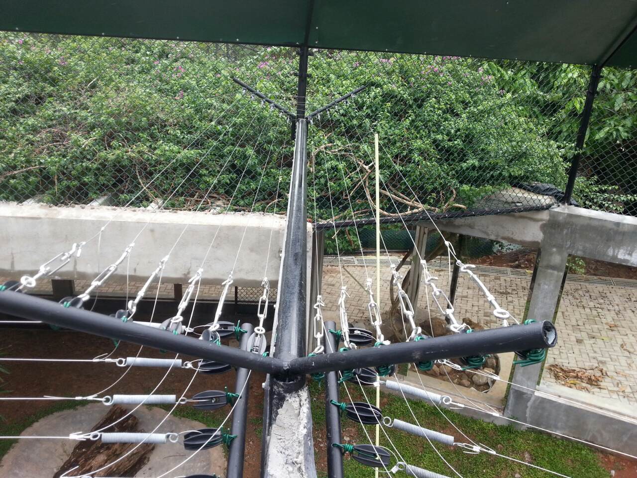 Pics Sent 4th of Aug ’25-00072-min