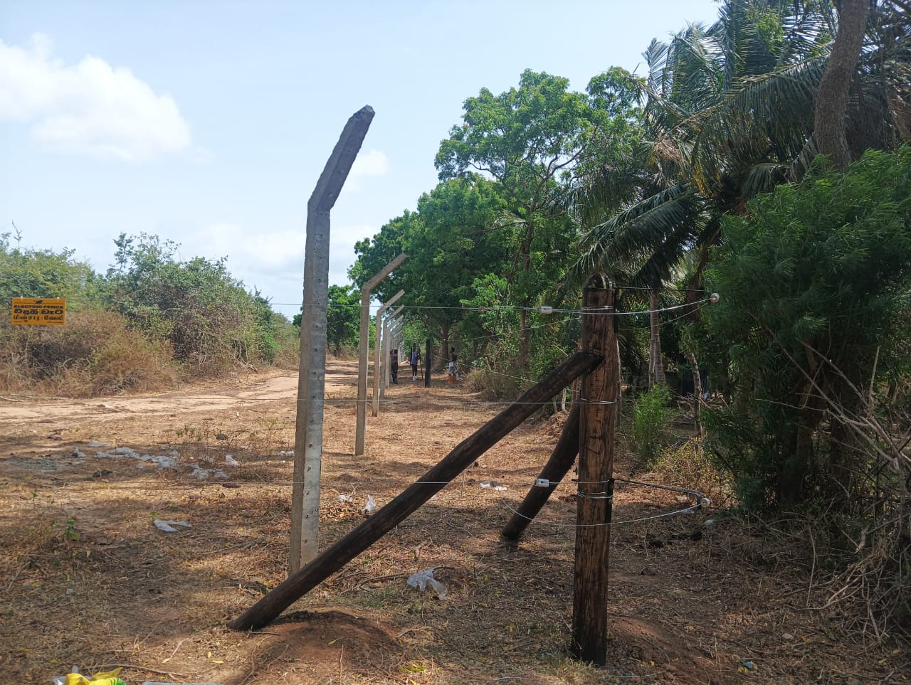 Weeravila Air Force00001